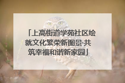 上高街道学苑社区绘就文化繁荣新图景·共筑幸福和谐新家园