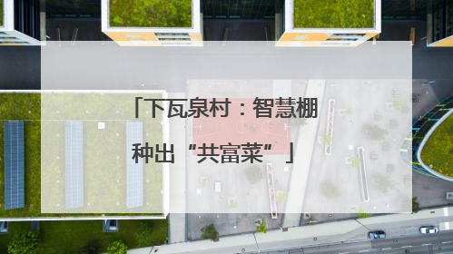 下瓦泉村：智慧棚种出“共富菜”