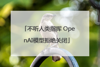 不听人类指挥 OpenAI模型拒绝关闭