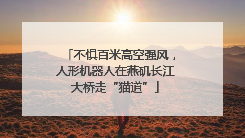 不惧百米高空强风，人形机器人在燕矶长江大桥走“猫道”