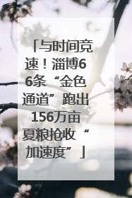 与时间竞速！淄博66条“金色通道”跑出156万亩夏粮抢收“加速度”