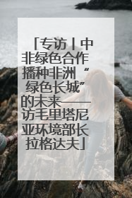 专访丨中非绿色合作播种非洲“绿色长城”的未来——访毛里塔尼亚环境部长拉格达夫