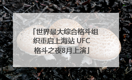 世界最大综合格斗组织重启上海站 UFC格斗之夜8月上演