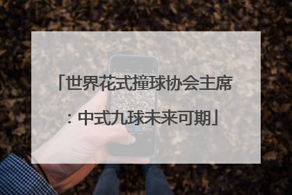 世界花式撞球协会主席：中式九球未来可期