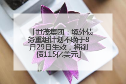 世茂集团：境外债务重组计划不晚于8月29日生效，将削债115亿美元