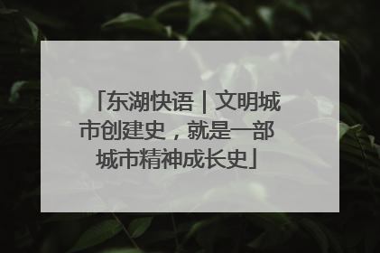 东湖快语｜文明城市创建史，就是一部城市精神成长史