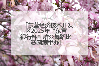 东营经济技术开发区2025年“东营银行杯”群众舞蹈比赛圆满举办