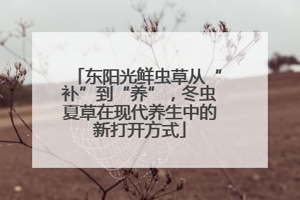 东阳光鲜虫草从“补”到“养”，冬虫夏草在现代养生中的新打开方式