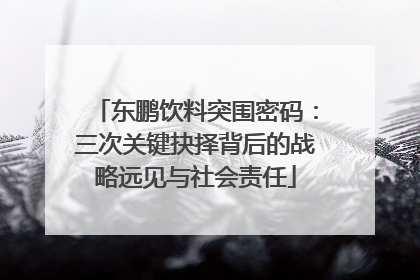 东鹏饮料突围密码：三次关键抉择背后的战略远见与社会责任