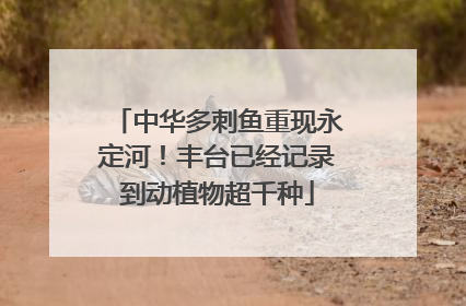 中华多刺鱼重现永定河！丰台已经记录到动植物超千种