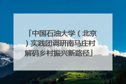 中国石油大学（北京）实践团调研南马庄村解码乡村振兴新路径