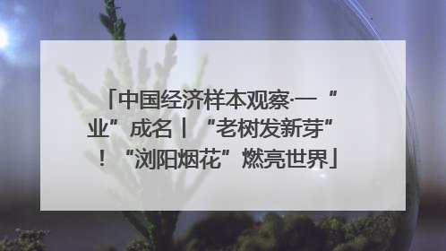中国经济样本观察·一“业”成名丨“老树发新芽”！“浏阳烟花”燃亮世界