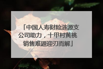 中国人寿财险涟源支公司助力，十甲村黄桃销售难题迎刃而解
