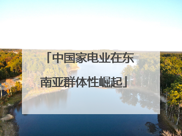 中国家电业在东南亚群体性崛起
