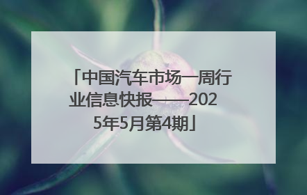 中国汽车市场一周行业信息快报——2025年5月第4期
