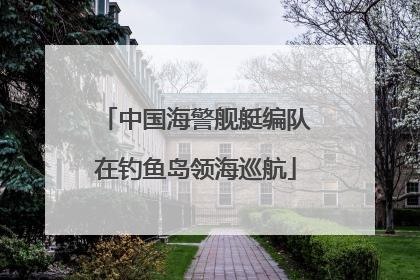 中国海警舰艇编队在钓鱼岛领海巡航