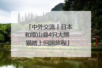 中外交流丨日本和歌山县4只大熊猫踏上回国旅程