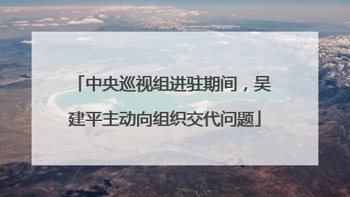 中央巡视组进驻期间，吴建平主动向组织交代问题
