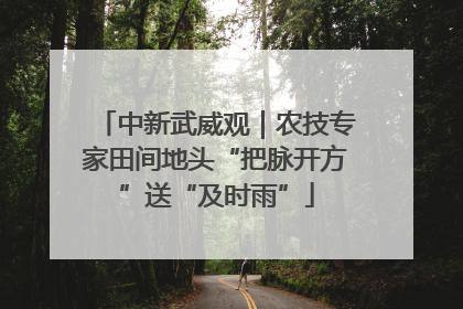 中新武威观｜农技专家田间地头“把脉开方”送“及时雨”
