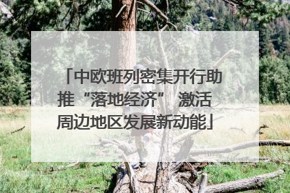 中欧班列密集开行助推“落地经济” 激活周边地区发展新动能