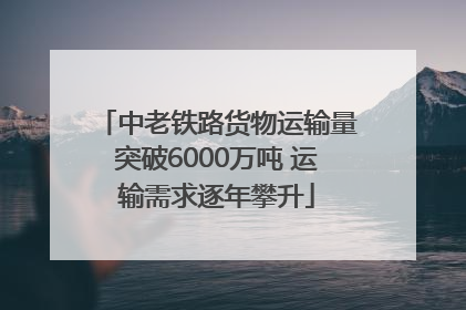 中老铁路货物运输量突破6000万吨 运输需求逐年攀升
