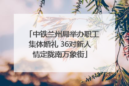 中铁兰州局举办职工集体婚礼 36对新人情定陇南万象街