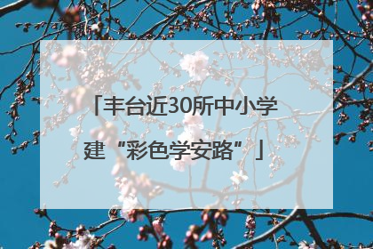 丰台近30所中小学建“彩色学安路”