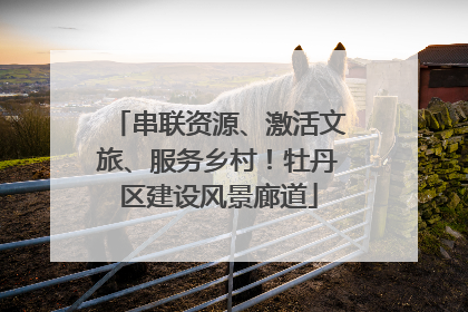 串联资源、激活文旅、服务乡村！牡丹区建设风景廊道