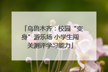 乌鲁木齐：校园“变身”游乐场 小学生闯关测评学习能力