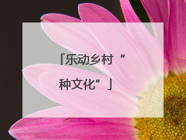 乐动乡村“种文化”