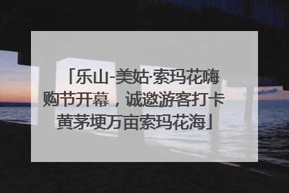 乐山-美姑·索玛花嗨购节开幕，诚邀游客打卡黄茅埂万亩索玛花海