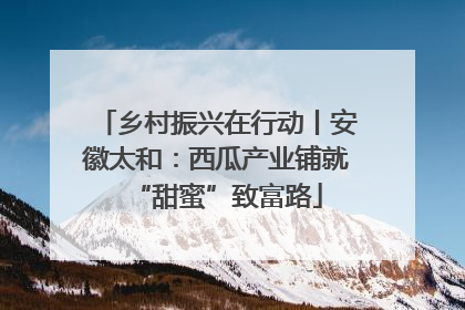 乡村振兴在行动丨安徽太和：西瓜产业铺就“甜蜜”致富路