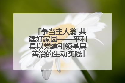 争当主人翁 共建好家园——平利县以党建引领基层善治的生动实践