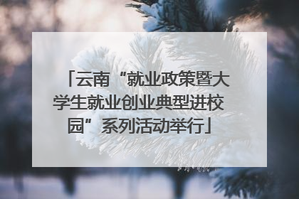 云南“就业政策暨大学生就业创业典型进校园”系列活动举行