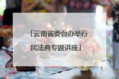 云南省委台办举行民法典专题讲座