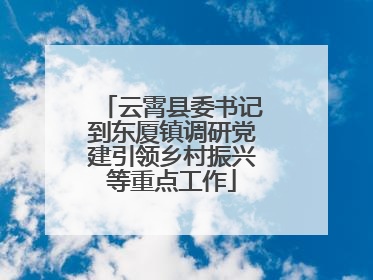 云霄县委书记到东厦镇调研党建引领乡村振兴等重点工作