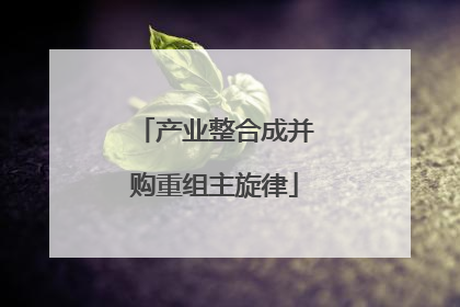 产业整合成并购重组主旋律