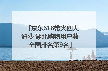 京东618带火四大消费 湖北购物用户数全国排名第9名