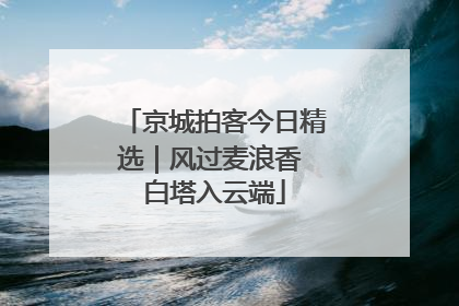 京城拍客今日精选｜风过麦浪香 白塔入云端