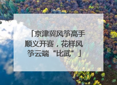 京津冀风筝高手顺义开赛，花样风筝云端“比武”