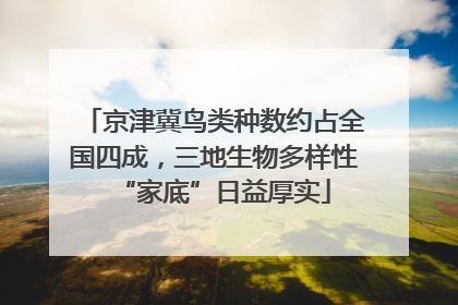 京津冀鸟类种数约占全国四成，三地生物多样性“家底”日益厚实