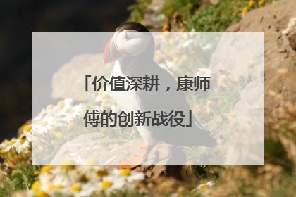 价值深耕，康师傅的创新战役