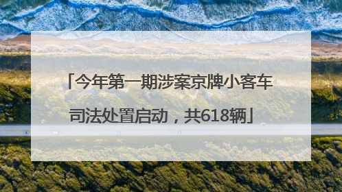 今年第一期涉案京牌小客车司法处置启动，共618辆