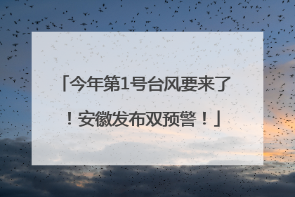 今年第1号台风要来了！安徽发布双预警！