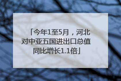 今年1至5月，河北对中亚五国进出口总值同比增长1.1倍