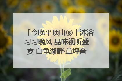 今晚平顶山⑧｜沐浴习习晚风 品味视听盛宴 白龟湖畔·草坪音乐会激情上演