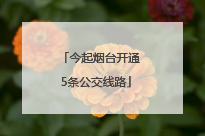 今起烟台开通5条公交线路