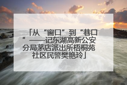 从“窗口”到“巷口”——记东湖高新公安分局茅店派出所梧桐苑社区民警樊艳玲