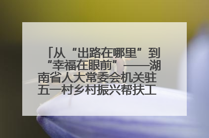 从“出路在哪里”到“幸福在眼前”——湖南省人大常委会机关驻五一村乡村振兴帮扶工作队书写振兴答卷