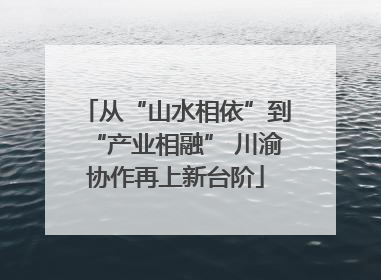 从“山水相依”到“产业相融” 川渝协作再上新台阶
